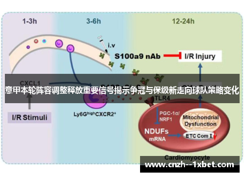 意甲本轮阵容调整释放重要信号揭示争冠与保级新走向球队策略变化 意甲本轮阵容调整释放重要信号揭示争冠与保级新走向球队策略变化